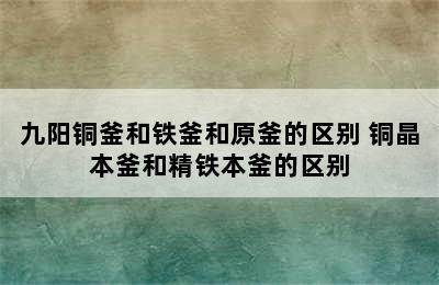 九阳铜釜和铁釜和原釜的区别 铜晶本釜和精铁本釜的区别